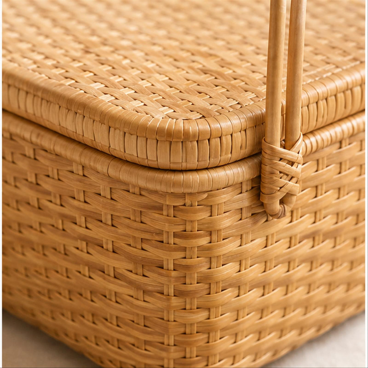Close view of Reed Arc Lidded Basket materials and craftsmanship